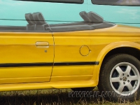 аэрография на VW Multivan